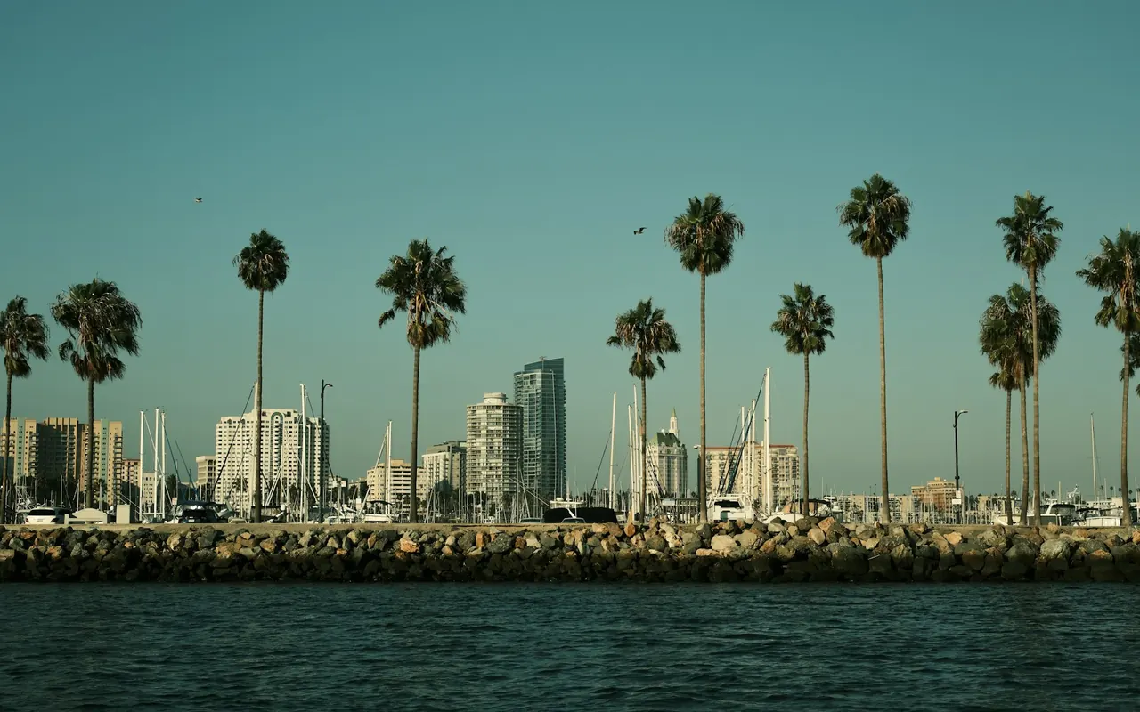 Palm trees, waterfront and the Long Beach city skyline
