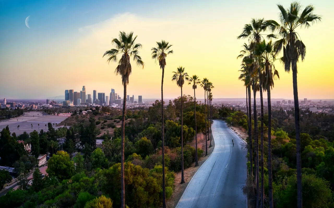 Palm-lined road leading toward the Los Angeles skyline