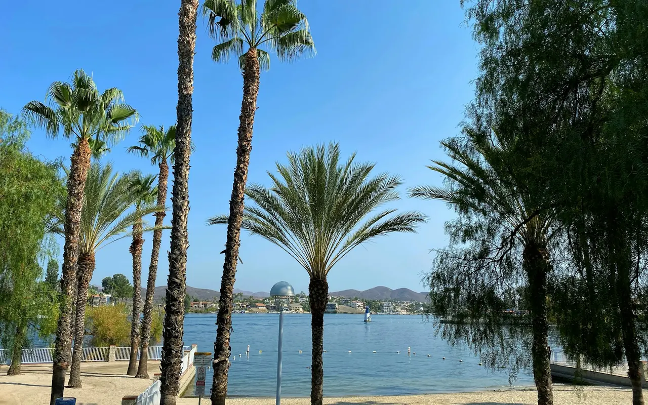 Palm trees beside Canyon Lake Reservoir in Riverside County