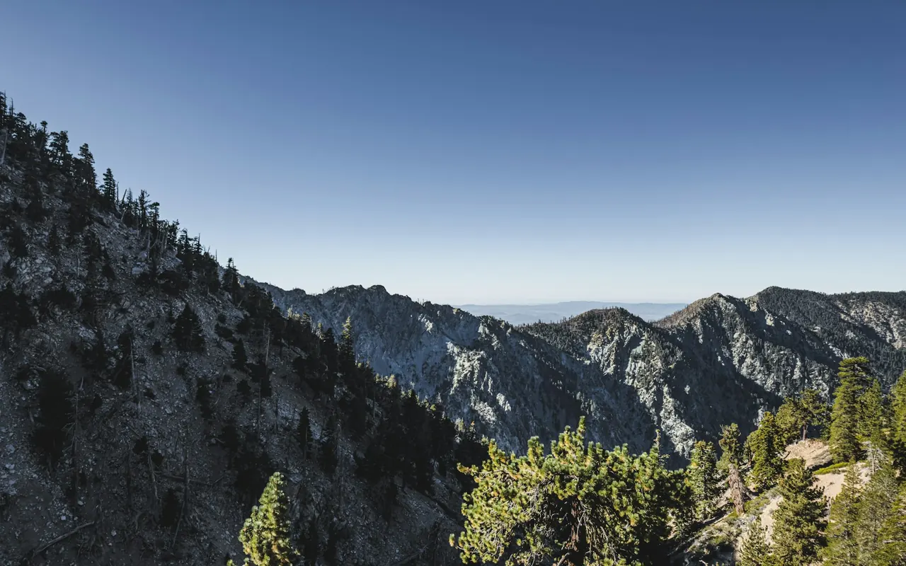 Pine trees and a mountain landscape near San Gorgonio Mountain in Southern California