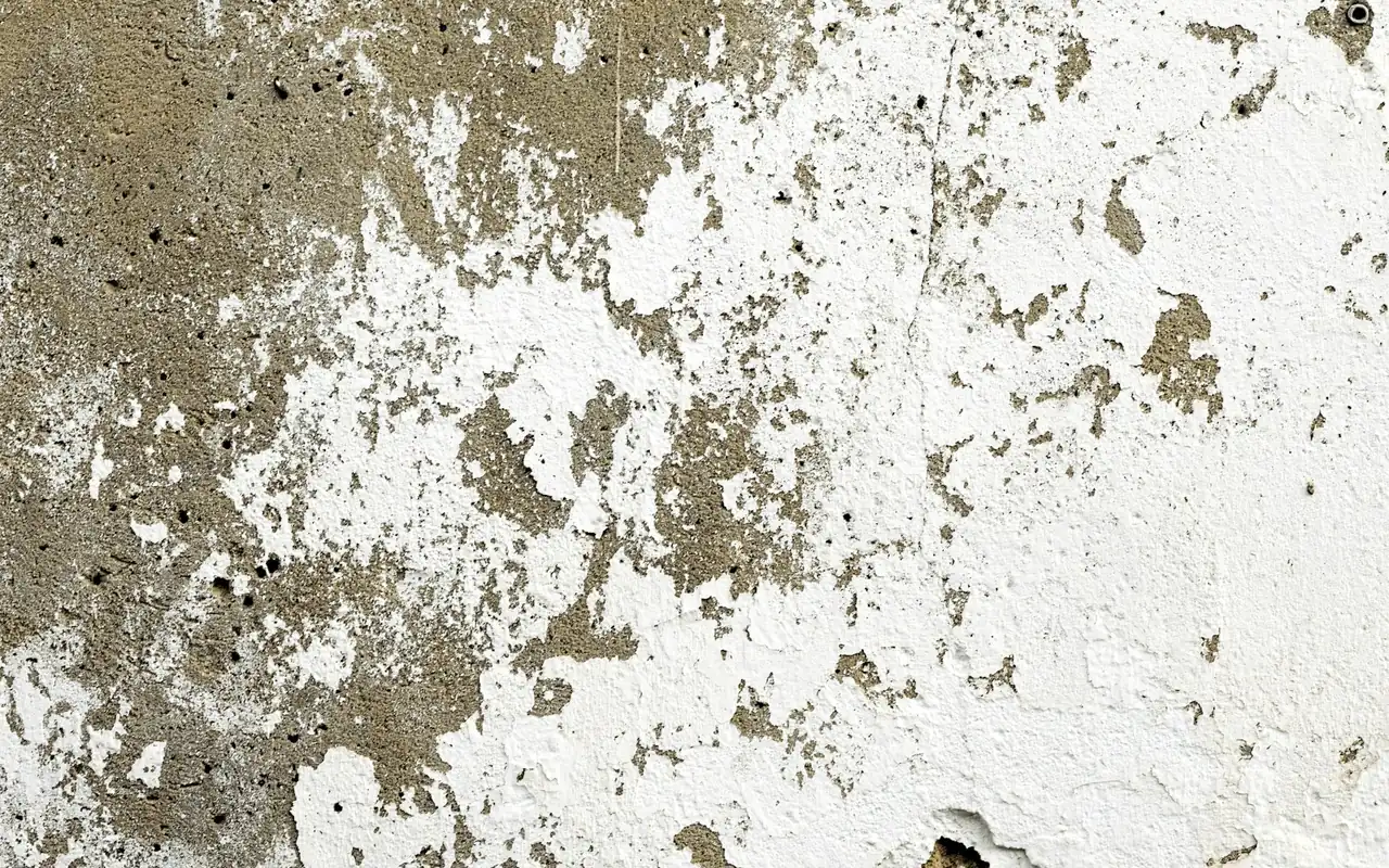Close-up of peeling wall finish and mottled surface discoloration